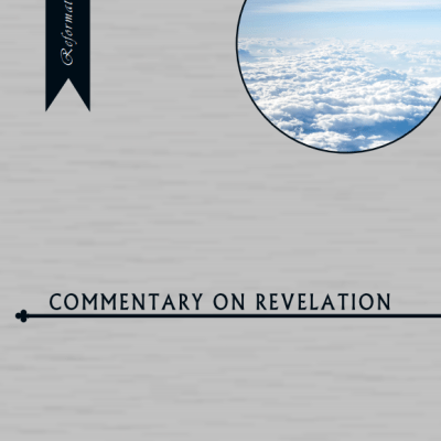 Junius & Beza “Commentary on Revelation”